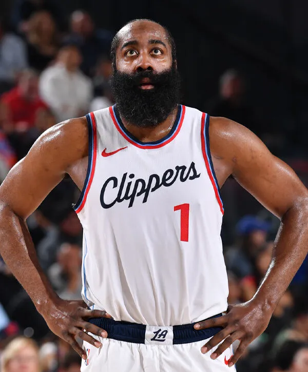 XINGKONG- 鹰从雏鹰到老鹰的成长过程 